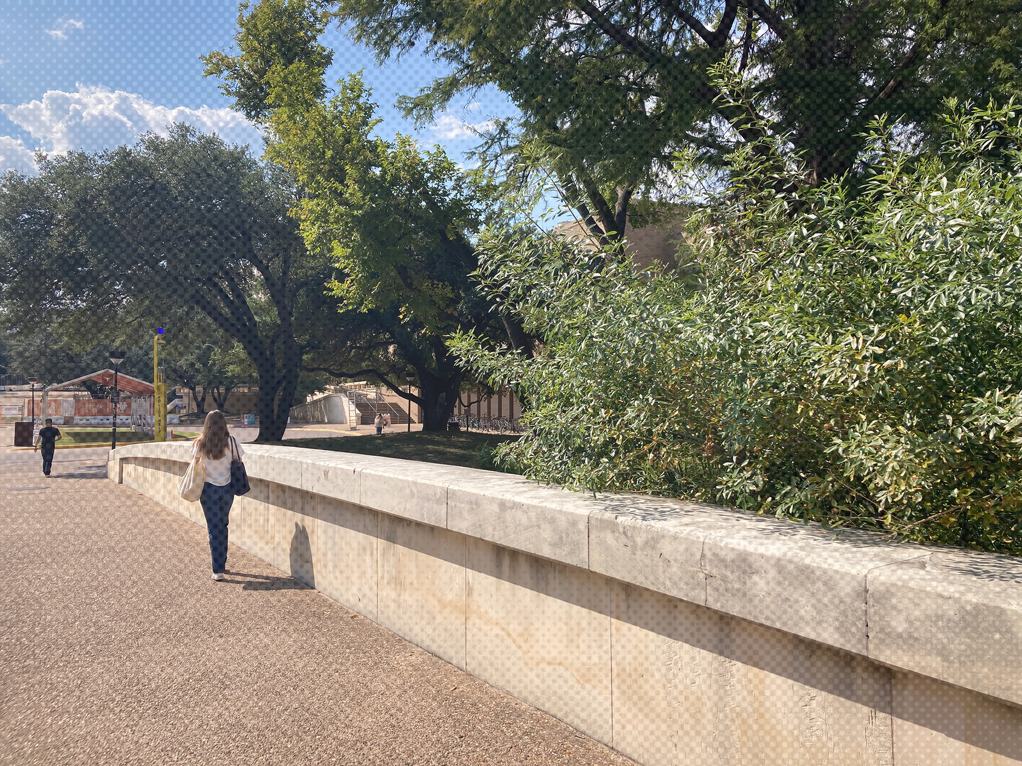 A picture of the start of the plant walk